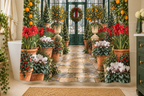 Christmas Greenhouse Printed Shower Curtain, lifestyle view 3: A bright bathroom with square curtain as the dominant focal wall, medium-wide editorial view, top hardware deliberately cropped OUT OF FRAME, camera at natural eye level.