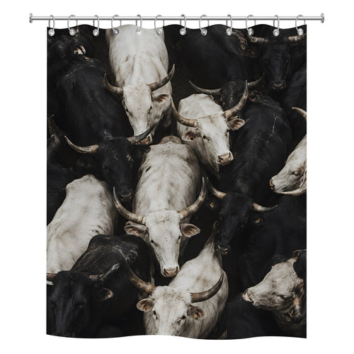 A square polyester shower curtain isolated on a pure white background, featuring a dramatic overhead photography composition of a crowded herd of black and white longhorn cattle.